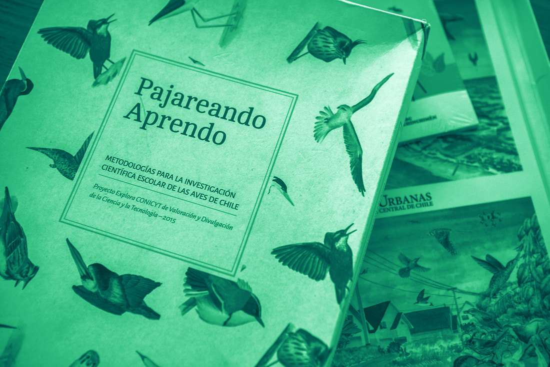 Concurso de productos de divulgación