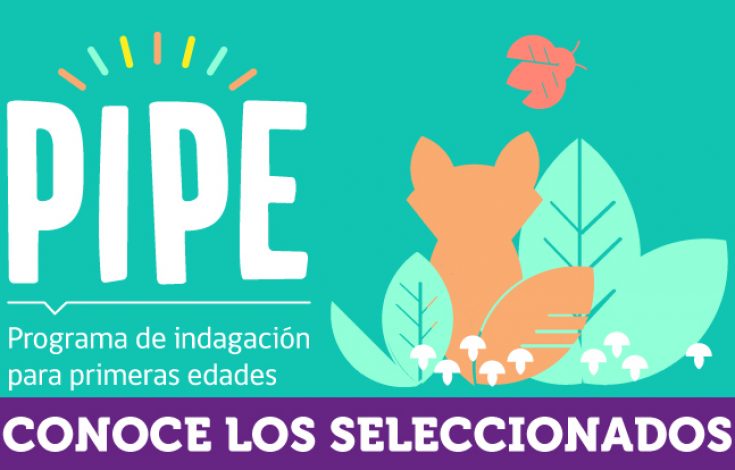 Banner-web-PIPE-2020-SELECCIONADOS