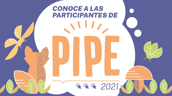 Conoce a las 60 seleccionadas que serán parte de PIPE 2021