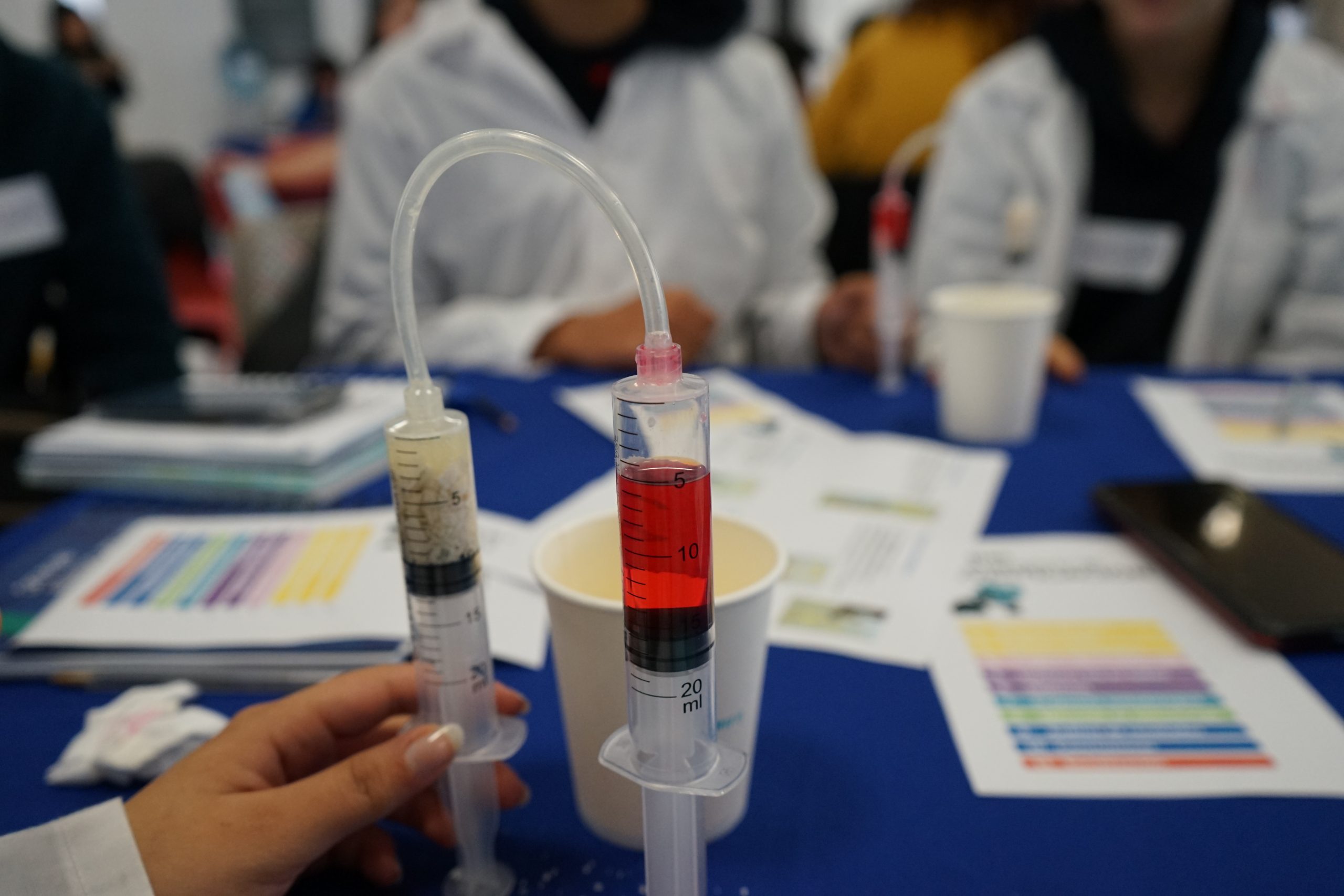 IIE exploró las rutas de la investigación y la innovación