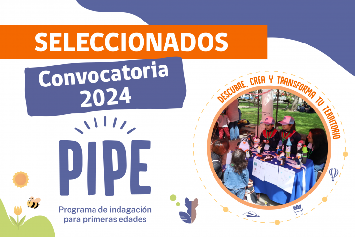 portada seleccionados PIPE