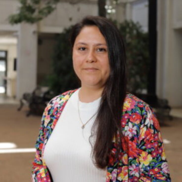 UDP-FIC-Retratos-Proyecto-PAR031-300x300