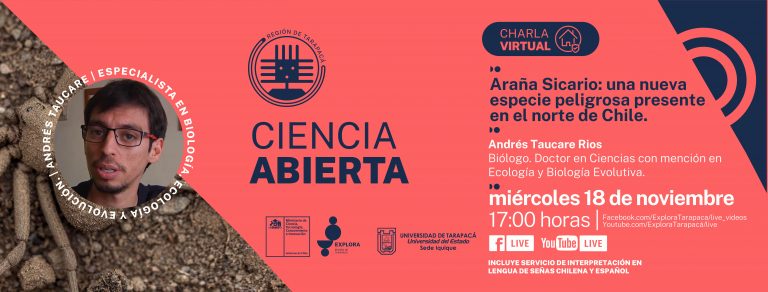 Miércoles 18 de noviembre: Charla “Araña Sicario: una nueva especie peligrosa en el norte de Chile”