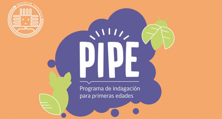 Nómina de seleccionados del Programa de Indagación para Primeras Edades 2021