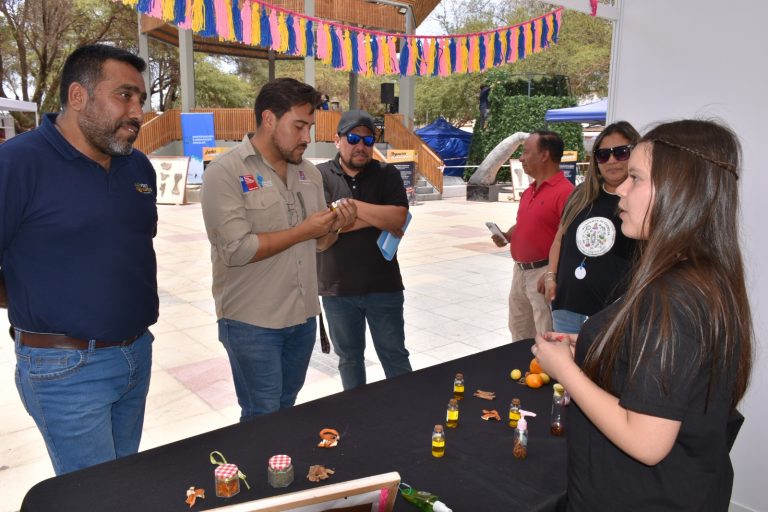 ESTUDIANTES Y PÁRVULOS EXPONEN SUS PROYECTOS Y CAPACITACIONES EN CIENCIA, INNOVACIÓN Y TECNOLOGÍA EN POZO ALMONTE