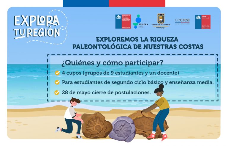POSTULA AQUÍ A LA SALIDA PEDAGÓGICA “FÓSILES Y PSEUDOFÓSILES DE PLAYA BLANCA Y LOS VERDES”