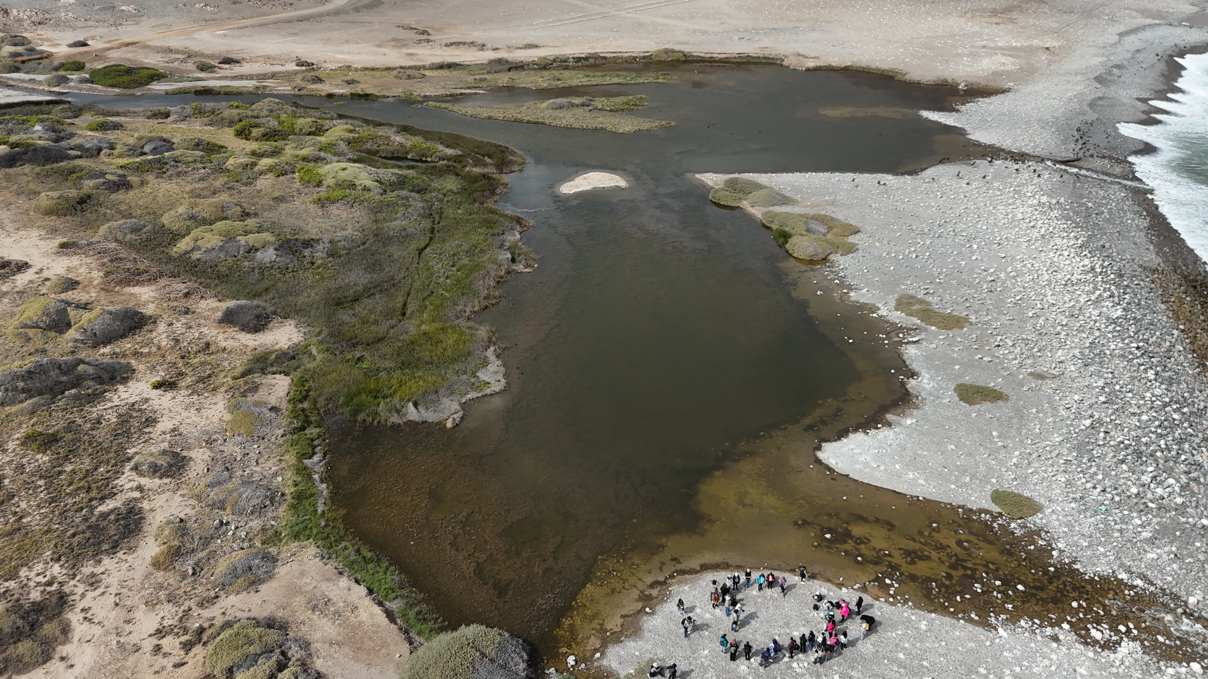 EDUCADORAS VIAJAN HASTA LA DESEMBOCADURA DEL RÍO LOA PARA CAPACITARSE EN PATRIMONIO CULTURAL Y BIODIVERSIDAD