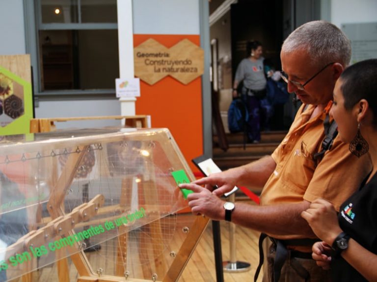 Descubre las formas geométricas de la naturaleza en Calle Larga
