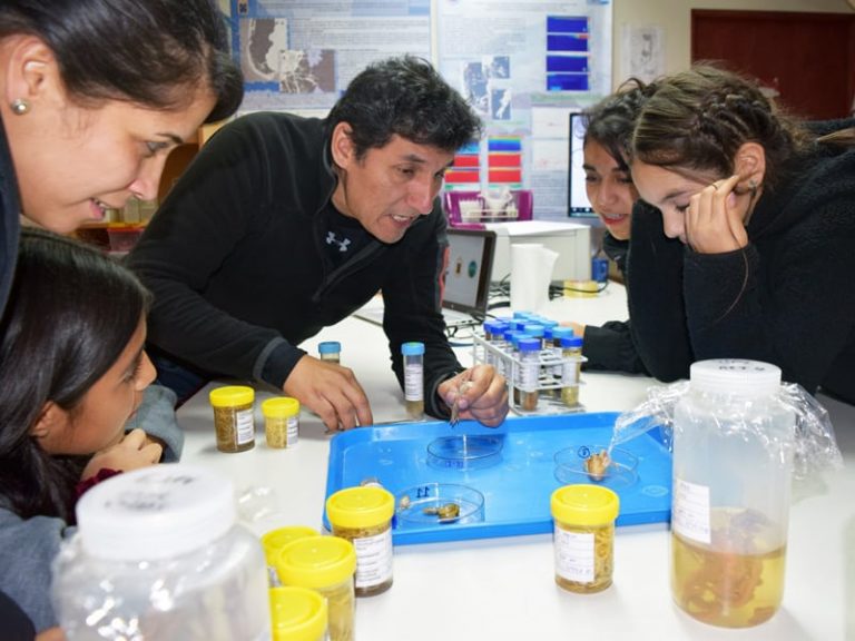 Estudiantes de Biobío y Valparaíso participan en novedosa Pasantía Científica en la PUCV