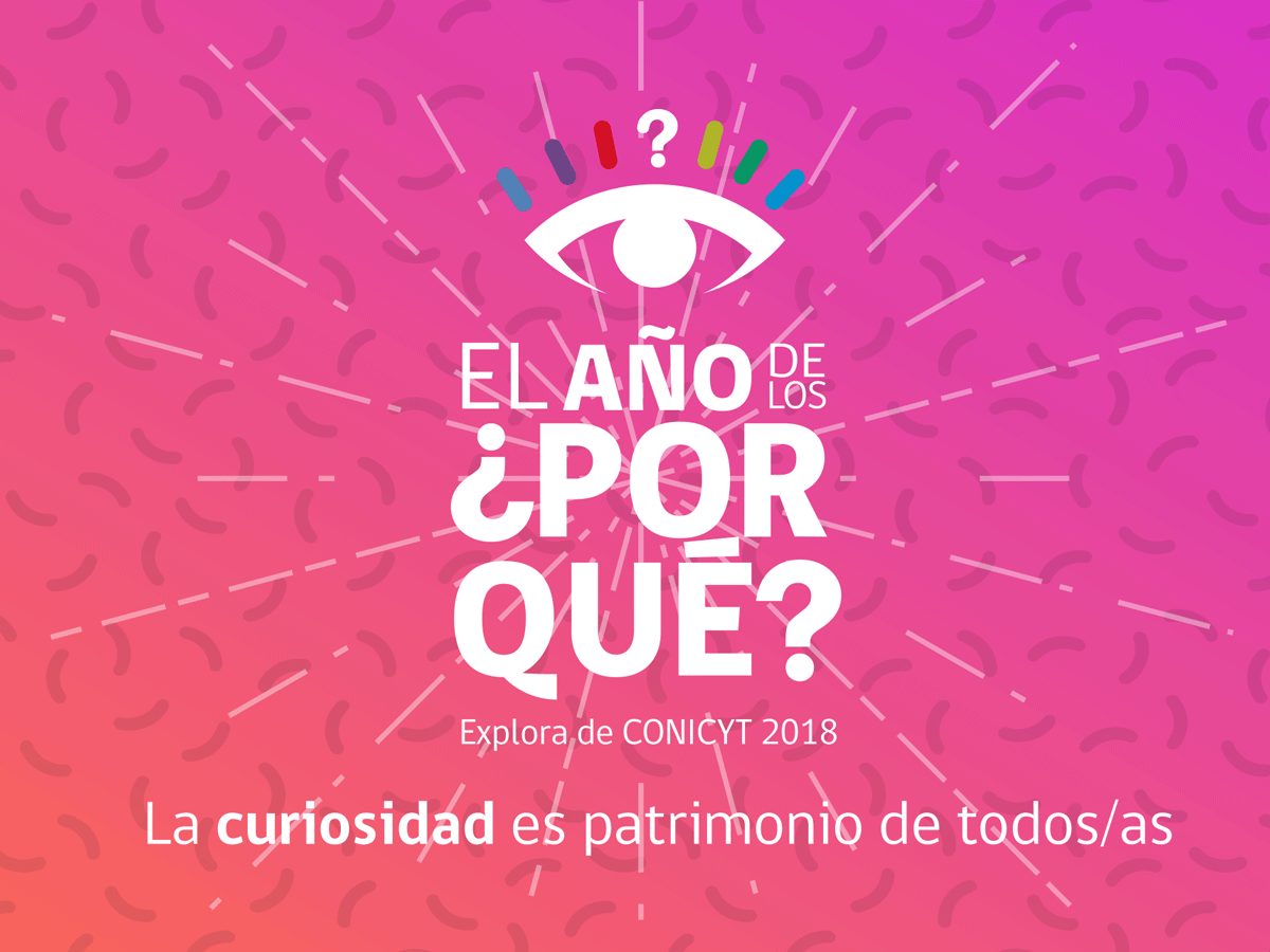 En “El año de los ¿Por qué?” potenciamos la curiosidad como patrimonio de todas y todos