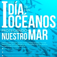 Día Mundial de los Océanos: Foro abordó experiencias de conservación marina exitosas en Chile