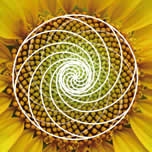 Exposición “Geometría: Construyendo Naturaleza” en Centro Cultural de San Antonio