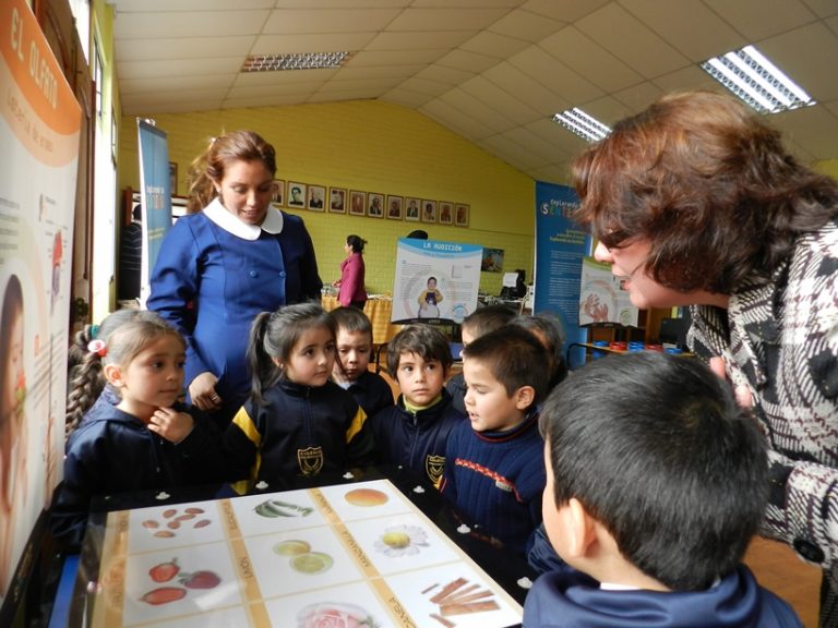 Niños y niñas de Villa Alemana pueden visitar la exposición “Explorando tus sentidos”