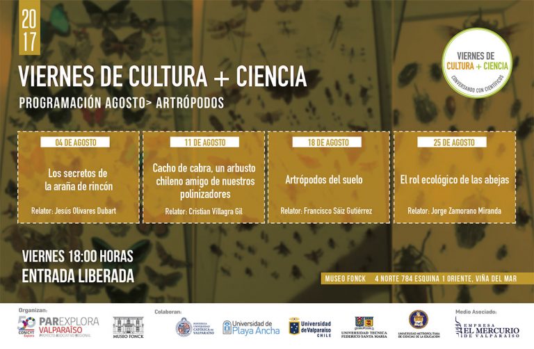 Agosto: Insectos bajo la lupa en el Viernes de Cultura + Ciencia