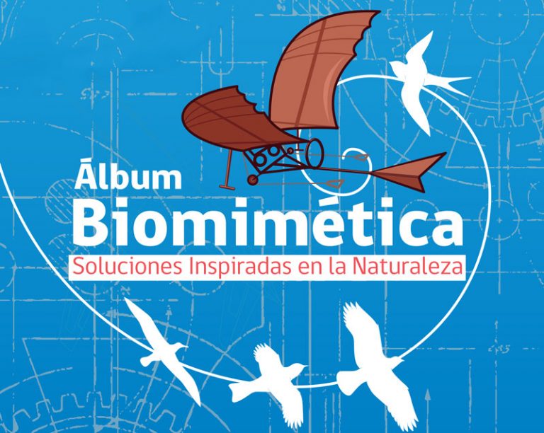 ¡Participa y completa el Álbum de la Biomimética!