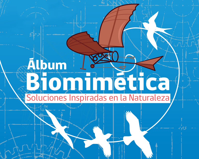 ¡Participa y completa el Álbum de la Biomimética!