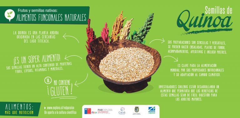 ¡Viajero! Conoce los alimentos que hacen más que nutrirte