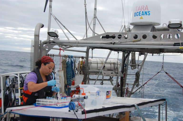 Ciencia Regional: Estudiando los gases de efecto invernadero