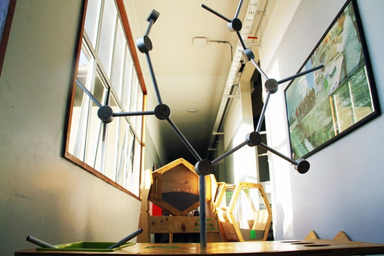 ¡Para todos en Valparaíso! Exposición "Geometría construyendo la naturaleza"