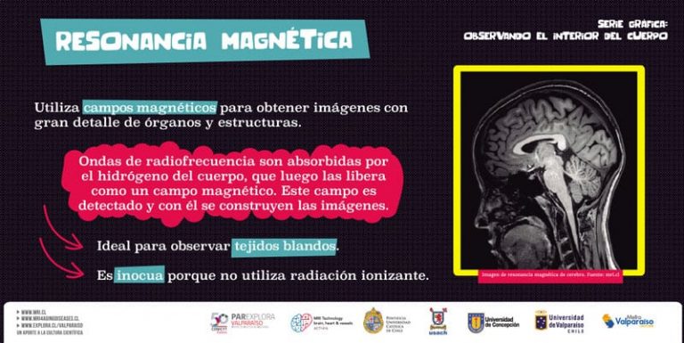 ¡Viajero! Observa el interior del cuerpo en los andenes de Metro Valparaíso