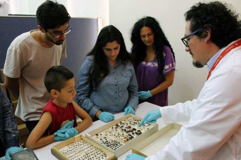 Viernes de Cultura + Ciencia: Los desafíos de un mundo globalizado para los museos
