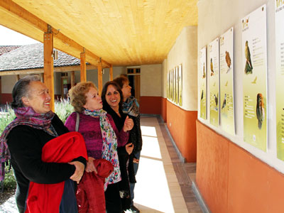 Bibliotecas del Aconcagua florecen con nuevo circuito de muestras gráficas