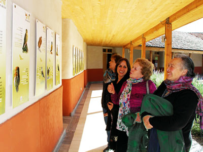 Gráficas llevan ciencia a Bibliotecas del Aconcagua