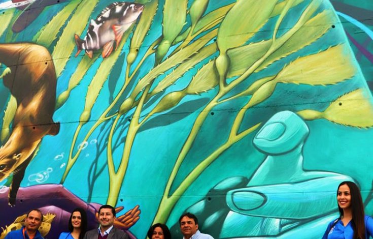 Mural Quillota 2