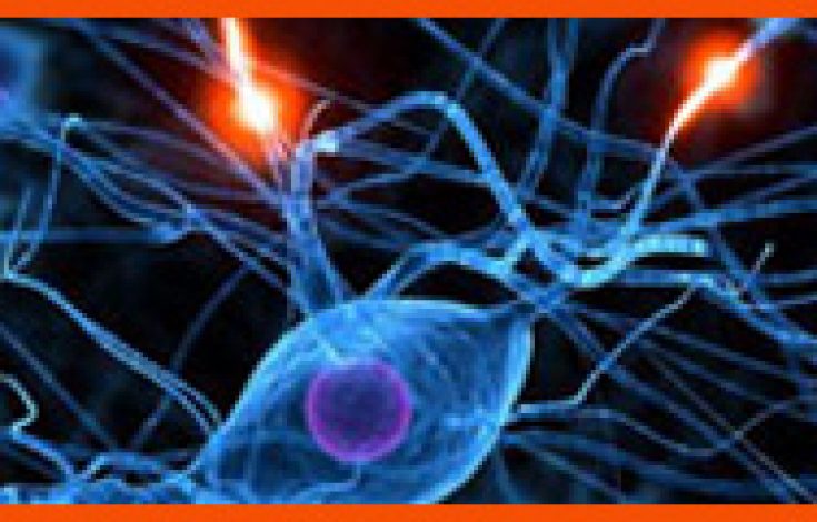 Neuroplasticidad-BOX