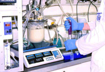 Ciencia Regional: Prebióticos para enriquecer alimentos