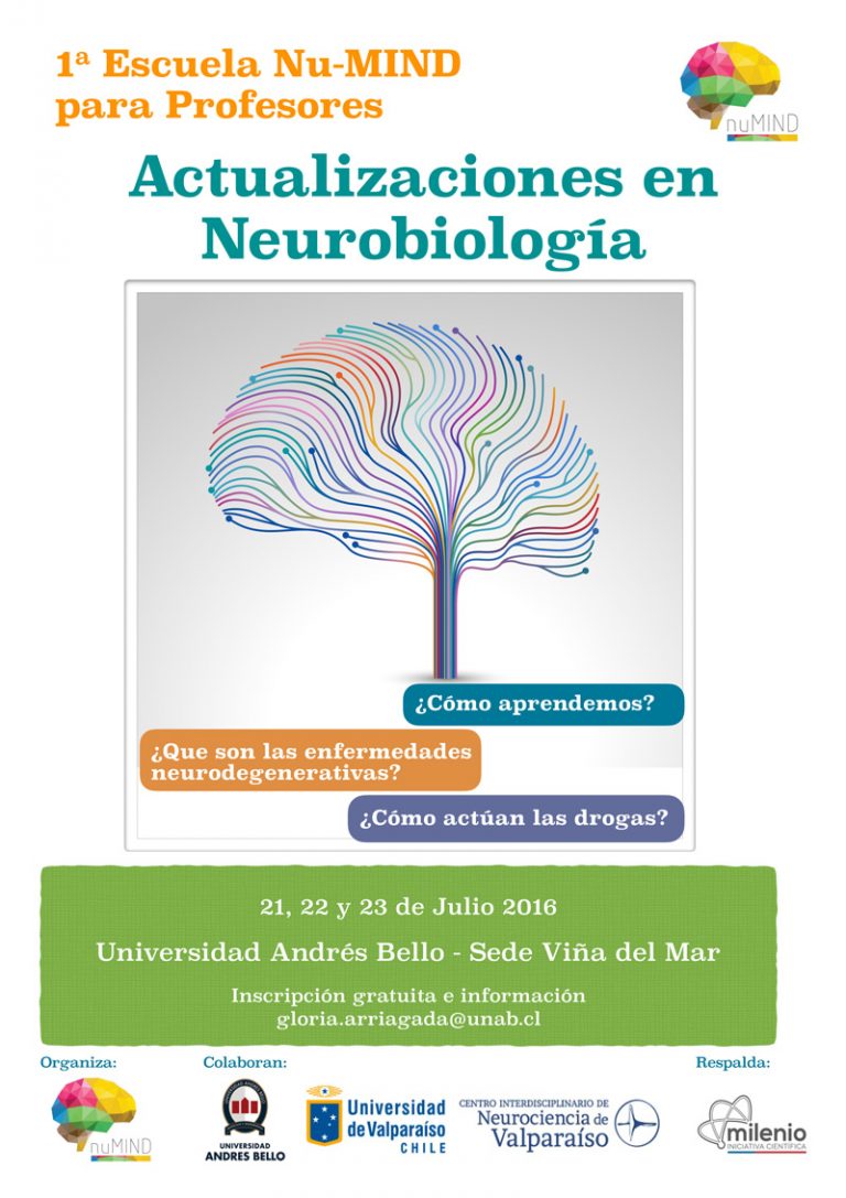 ¡Últimos Días! Actualiza tu cerebro en Escuela para Profesores NuMind