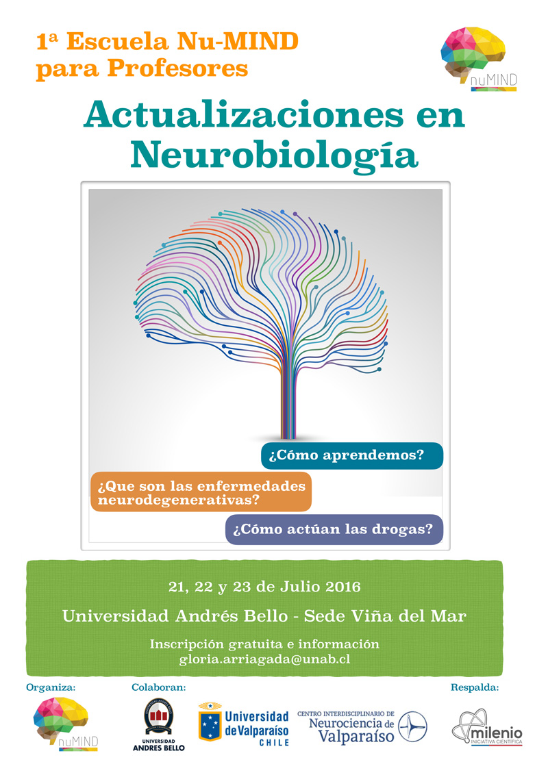 ¡Últimos Días! Actualiza tu cerebro en Escuela para Profesores NuMind