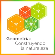 Sorpréndete con “Geometría: Construyendo la Naturaleza” en Catemu