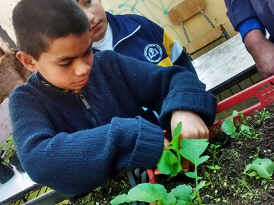Alianzas que potencian la investigación escolar en la región de Valparaíso