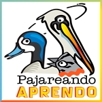 ¡Pajareando Aprendo! ¡Una capacitación científico-pedagógica gratuita y emplumada!