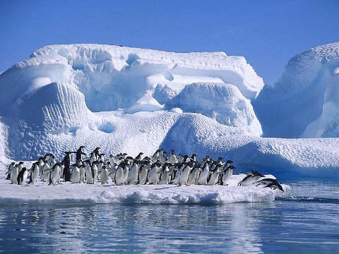 Charla de Ciencia Antártica de Sergio Marshall podrá ser vista por todos a través de streaming