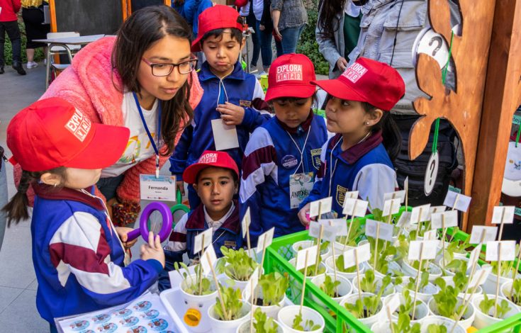 Registro 7a Feria "Haciendo ciencia voy creciendo"