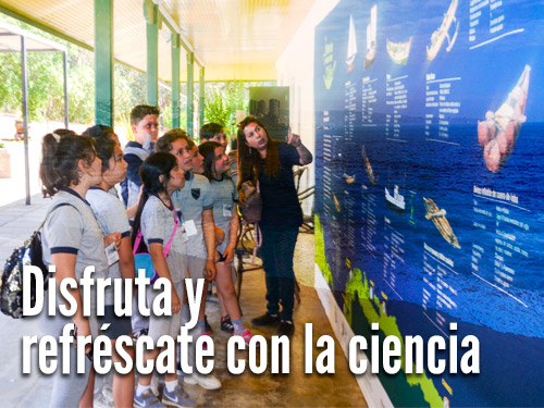 Este verano disfruta y refréscate con la ciencia en la Región de Valparaíso