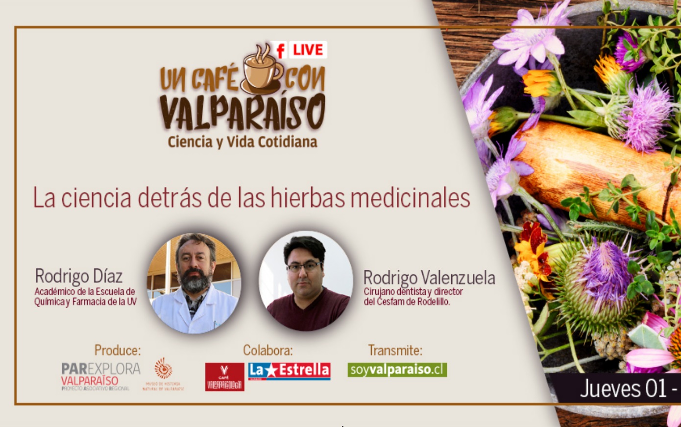 “Un café con Valparaíso” informó a público asistente sobre plantas medicinales