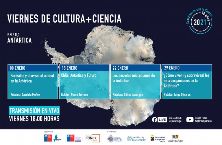 ¡Cumplimos 10 años de VC+C! Y para celebrarlo, partimos enero con temáticas salidas del continente blanco