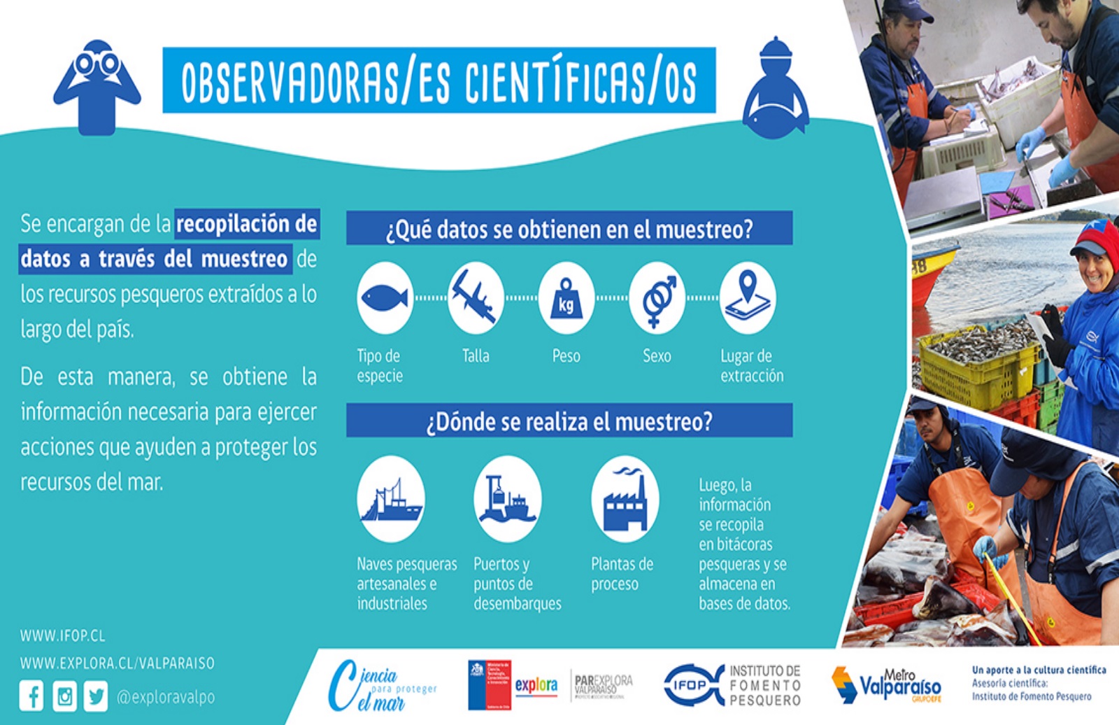 Explora Valparaíso e IFOP lanzan campaña para conocer la investigación científica en torno al mar
