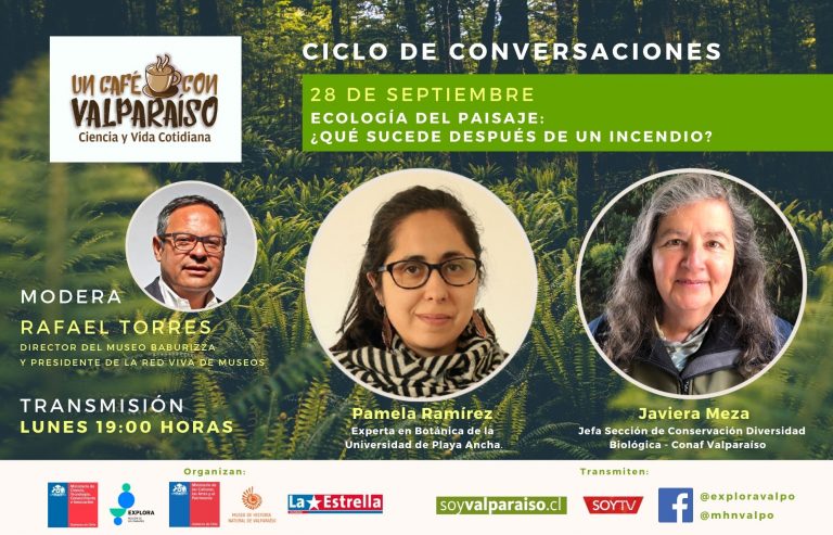Cuarta temporada de Un Café con Valparaíso llevará temáticas sobre sustentabilidad este 2020