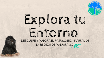 Banner Explora tu entorno