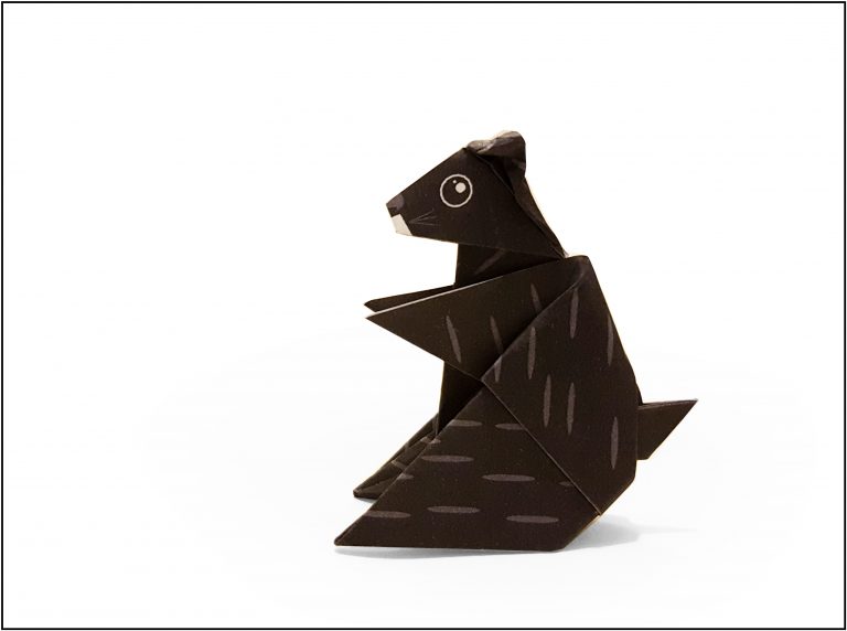 Arma tu propia flora y fauna local con taller de Origami