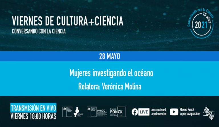 Banner VC+C MAYO
