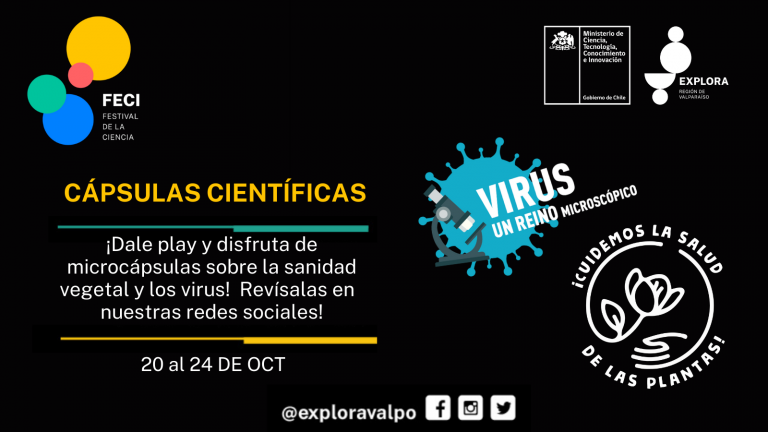 Virus y plantas son protagonistas de microcápsulas científicas que estrenaremos en FECI 2021