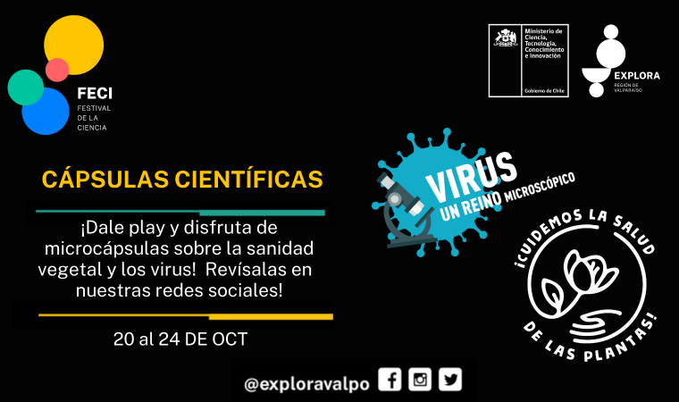 Virus y plantas son protagonistas de microcápsulas científicas que estrenaremos en FECI 2021