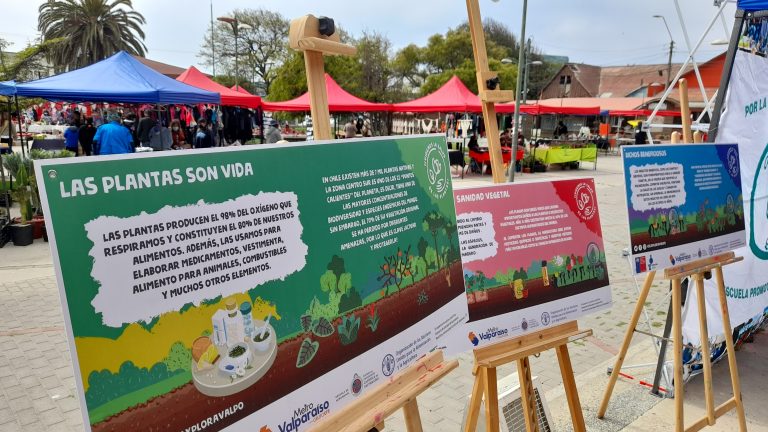 ¡Proyectando ciencias! Red Territorial realiza última sesión del año 2021