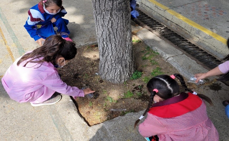 PIPE: Una cruzada por potenciar las ciencias en niños y niñas