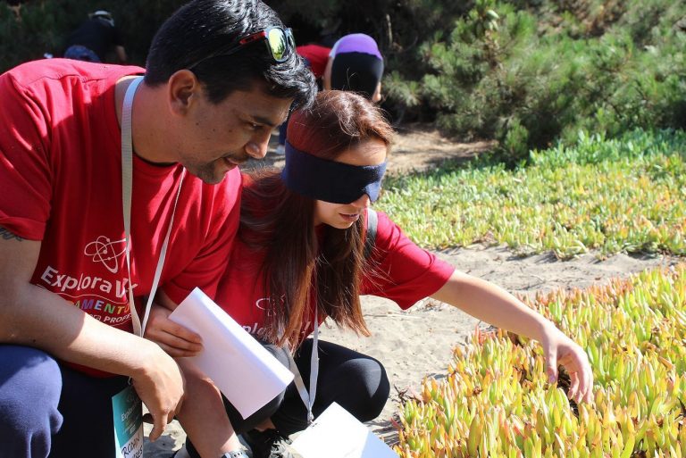 ¡Observando el territorio y también el mar! Antes de finalizar el año, docentes y educadoras de párvulos fortalecen sus competencias profesionales en Campamento Explora Va!
